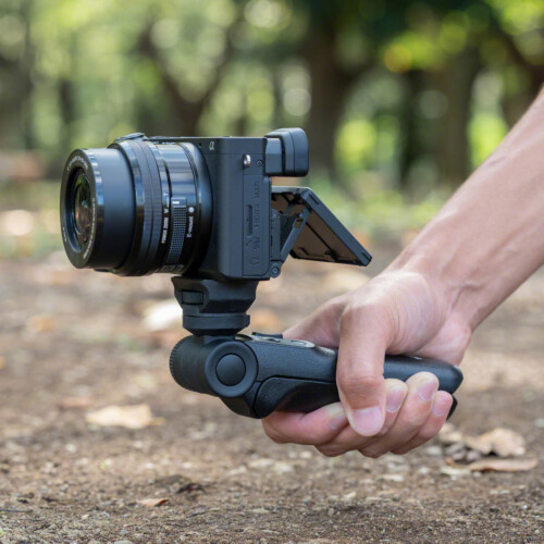 Sony shooting Grip 2024