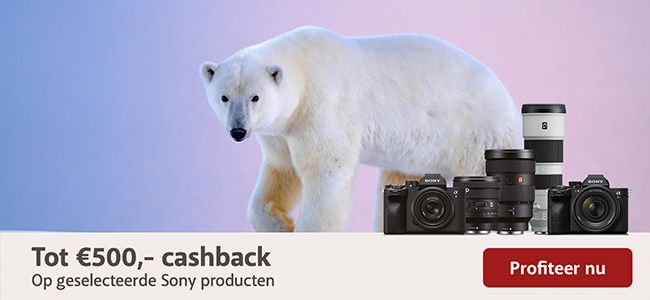 Sony Winter Cashback 2024