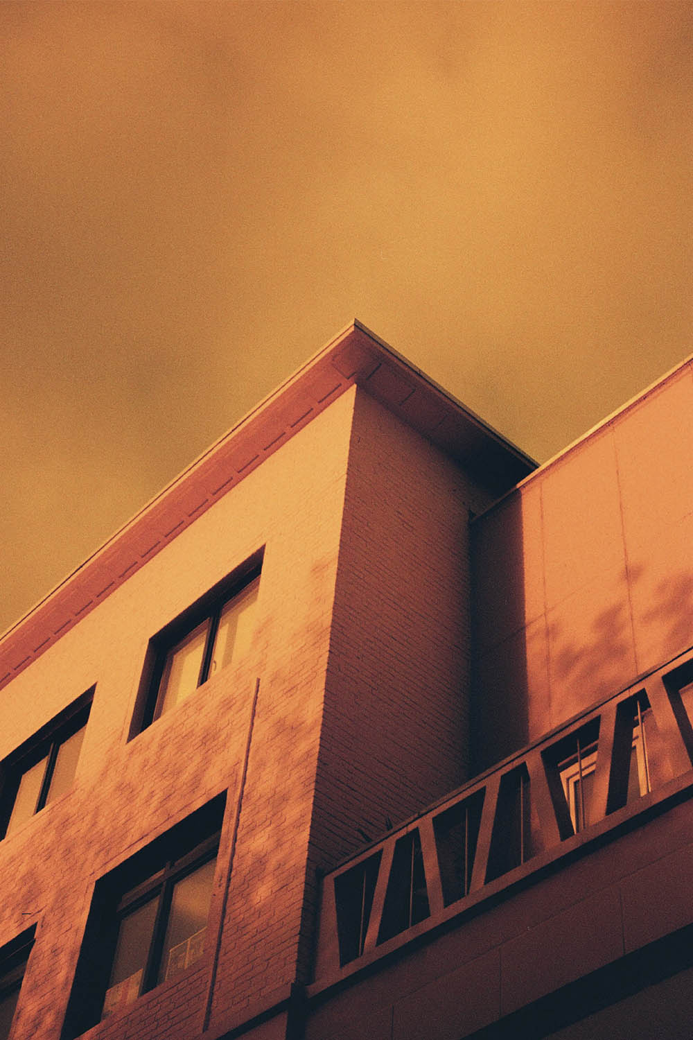 redscale gebouw